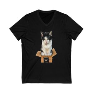 Cat in a Box - Unisex Jersey Short Sleeve V-Neck Tee