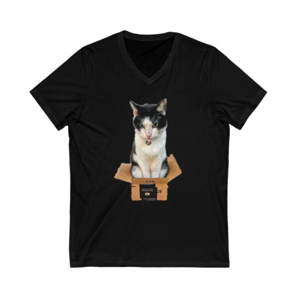 Cat in a Box - Unisex Jersey Short Sleeve V-Neck Tee